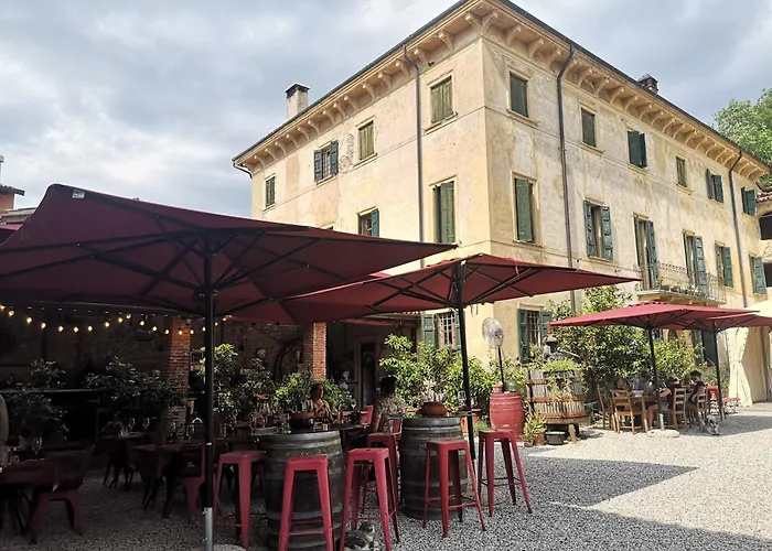 Calicantus ברדולינו