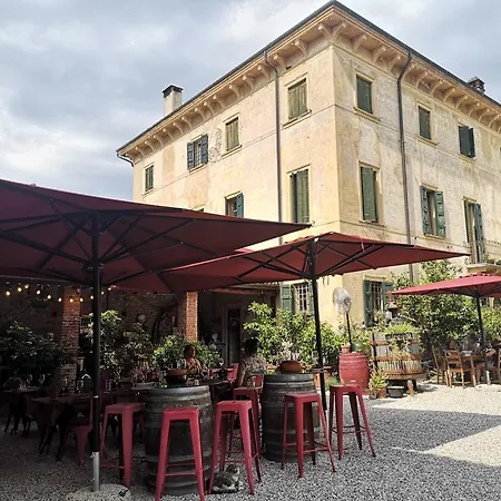 Calicantus 바르돌리노