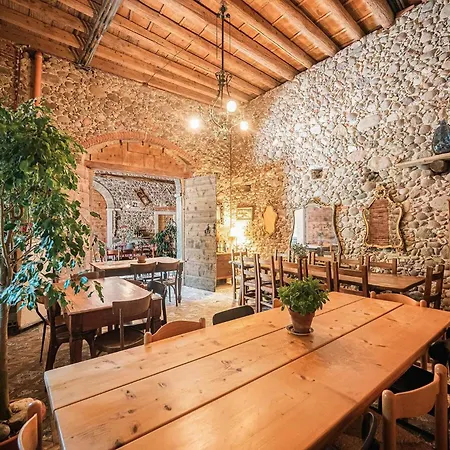 Calicantus 바르돌리노