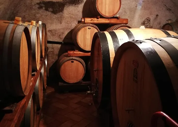 Calicantus * 바르돌리노