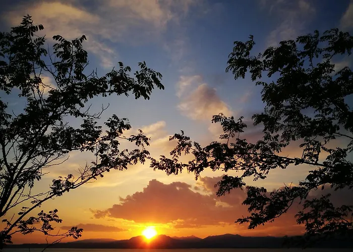 팜스테이 Calicantus 바르돌리노